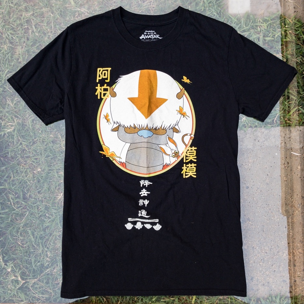 Avatar the Last Airbender Appa Nickelodeon Medium Graphic T Shirt